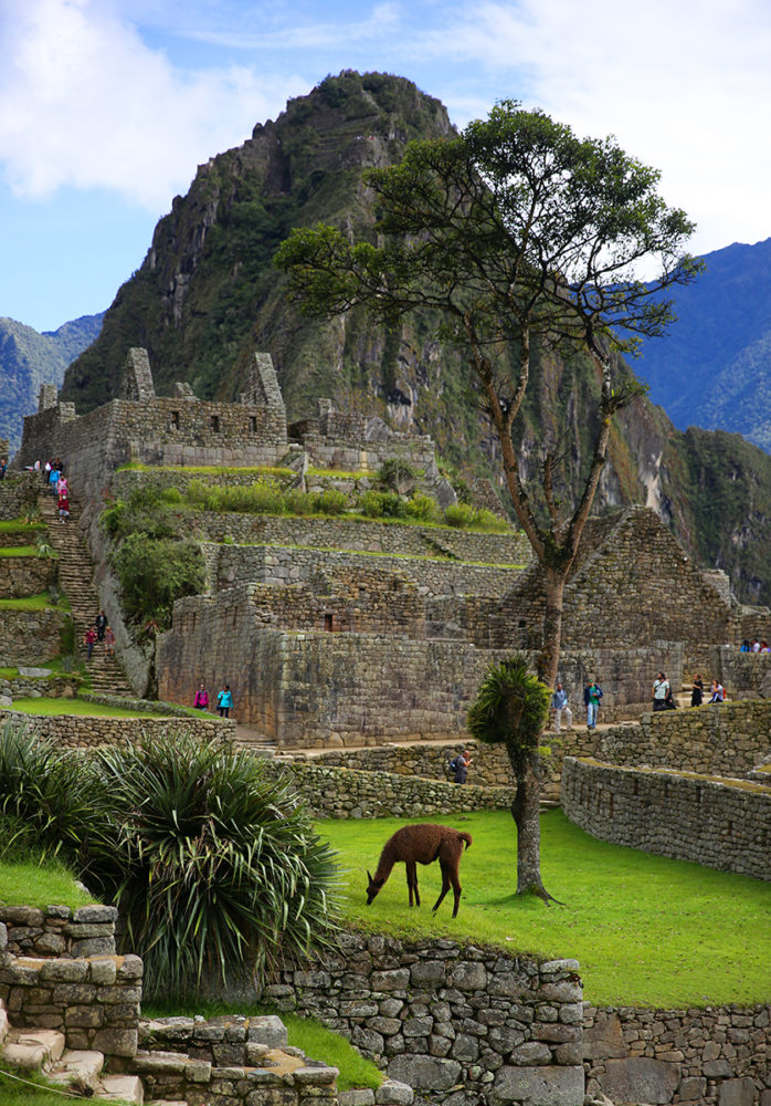 Machu Picchu, Peru